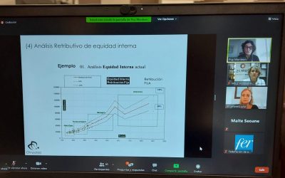 Webinar Auditoria Retributiva FER, rom25. Grabación